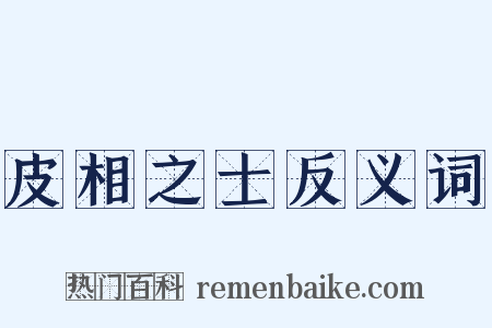 皮相之士反义词是什么意思的图片